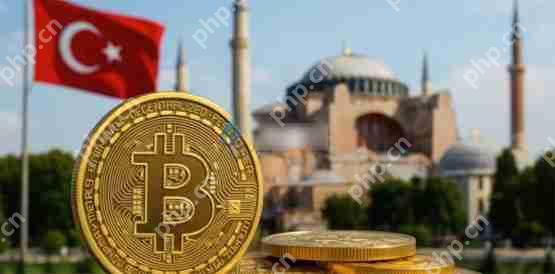 一文搞清楚比特币在土耳其创下历史新高!法币里拉贬值促使民众转向加密货币